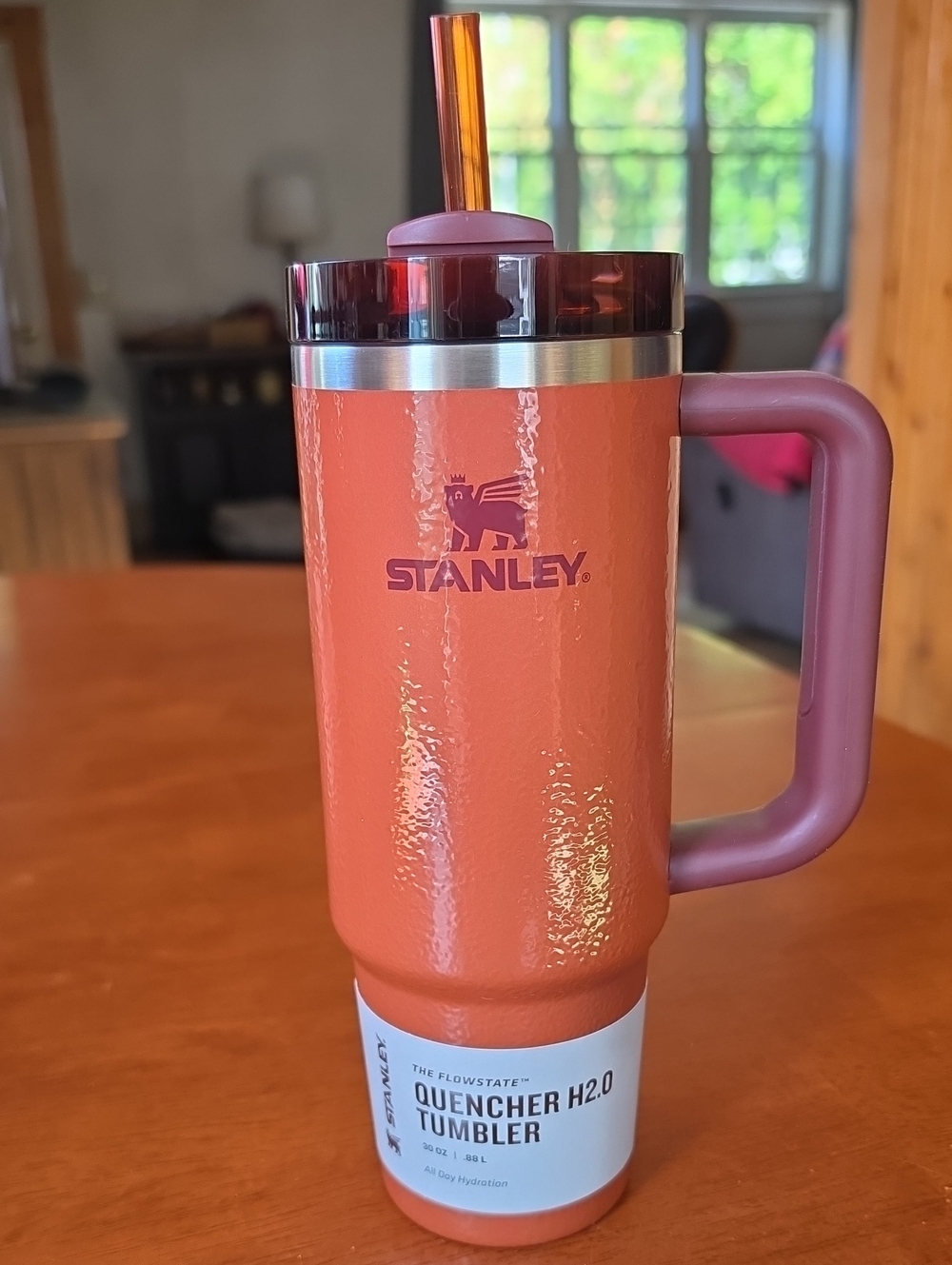 Stanley 30 oz Quencher H2.0 Tumbler - Hammertone Clay